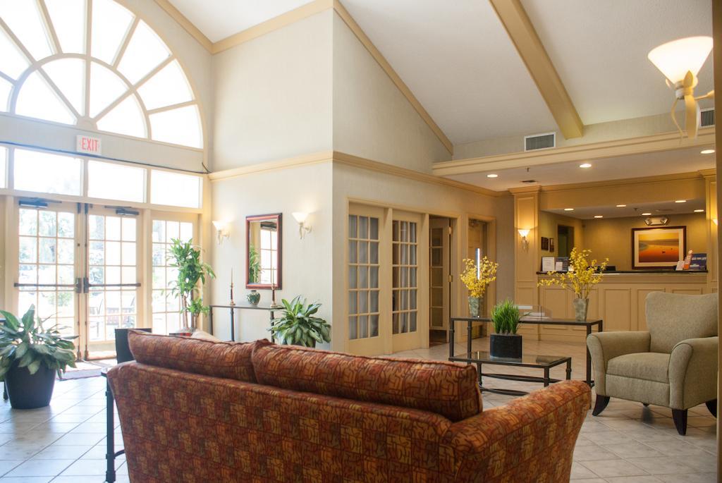 Hawthorn Suites By Wyndham ג'קסונוויל מראה חיצוני תמונה